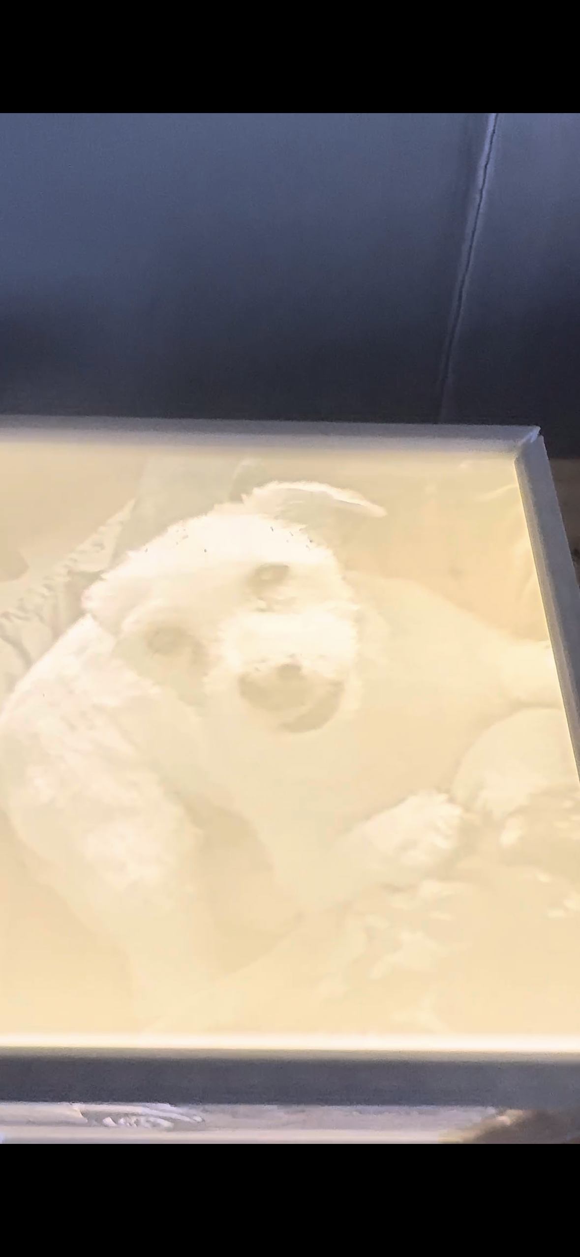 Lithophane Example 1